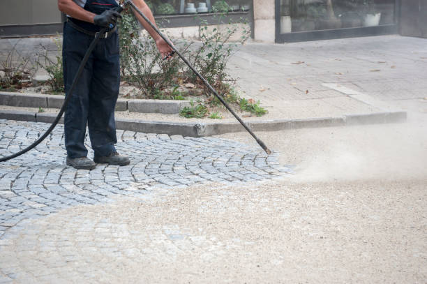 Animal Enclosure Cleaning in Ortonville, MI